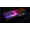 G.Skill F4-3600C16Q-64GTZR 64GB