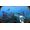 Gearbox Subnautica: Below Zero
