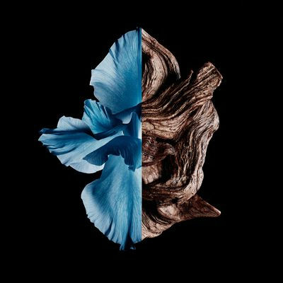 Givenchy Gentleman Eau de Toilette Intense