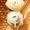 Guerlain Abeille Royale Honey Trattamento Crema Giorno
