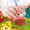 Hape Puzzle Suoni del Cortile