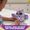 Hatchimals Mystery Hatch