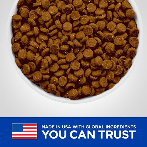 Hill's Prescription Diet i/d Digestive Care Gatto (Pollo) - secco