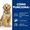 Hill's Prescription Diet j/d Mobility Cane - secco