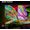 Hisense E7Q Pro