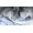 Indesit Lavatrice 7 kg BWA 71296X WV IT