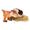 Jurassic World Primal Hatch