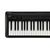 Kawai Tastiera ES 120