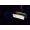 Kingston FURY Beast White RGB DDR5 6000MT/s CL30