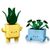 Lego Botanicals 10349 Piantine felici