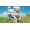 Lego City 60283 Camper delle vacanze