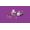 Lego Friends 41439 Macchina da toletta per gatti