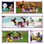 Lego Friends 41684 Grand Hotel di Heartlake City