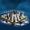 Lego Harry Potter 76392 La scacchiera di Hogwarts