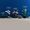 Lego Icons 10309 Piante grasse