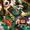 Lego Icons 10315 Il Giardino Tranquillo