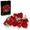 Lego Icons 10328 Bouquet di rose