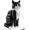 Lego Ideas 21349 Gatto Tuxedo