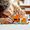 Lego Minecraft 21178 Il Capanno della Volpe