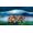 Lego Minifigures 71028 Harry Potter Serie 2