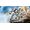 Lego Ninjago 71738 Mech Titano da battaglia di Zane