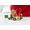 Lego Super Mario 71385 Mario Tanuki - Power Up Pack