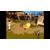Microids Asterix & Obelix XXL: Romastered