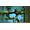 Microids Flashback 2