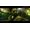 Microids The House of the Dead Remake