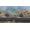 Microsoft Age of Empires IV
