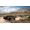 Microsoft Forza Horizon 5 - Premium Edition