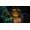 Microsoft Psychonauts 2
