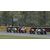 Milestone SBK 2011