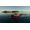 Misc Games Fishing: North Atlantic