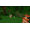Mojang Minecraft
