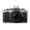 Nikon Z fc
