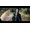 Nintendo Deadly Premonition 2: A Blessing in Disguise