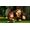 Nintendo Donkey Kong Country Returns HD