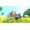 Nintendo Monster Hunter Stories 2: Wings of Ruin