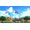 Nintendo New Pokemon Snap