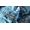 Nintendo Xenoblade Chronicles - Definitive Edition