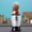 NutriBullet Magic Bullet MBR06