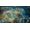 Paradox Age of Wonders: Planetfall