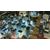 Paradox Cities: Skylines