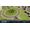 Paradox Cities: Skylines