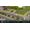 Paradox Cities: Skylines