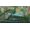 Paradox Cities: Skylines II