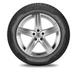 Pirelli Cinturato All Season Plus, Confronta prezzi