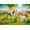 Playmobil Country Famiglia di pony