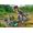 Playmobil Dinos Sulle tracce del T-Rex
